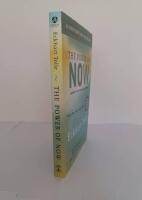 The power of now : a guide to spiritual enlightenment