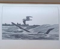 Minnen fr&aring;n mina vandringar i naturen - (Privatinbunden f&ouml;rstaupplaga i ovanligt bra skick!)