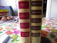 MORG&Aring;N G&Aring;VAN, FLORENCE NIGHTINGALE