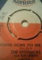 AMAPOLA/I`M GOING HOME