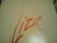 LIVE AT THE WINTER GARDEN