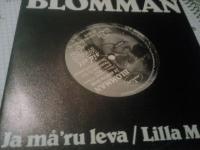 JA M&Aring;`RVLA / LILLA MARIE