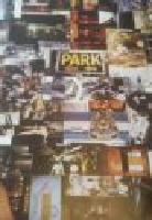 WINDOWS IN THE JUNGLE