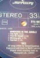 WINDOWS IN THE JUNGLE