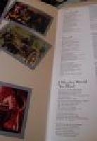 A STRANGER IN MY OWN BACK YARD