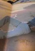 A STRANGER IN MY OWN BACK YARD