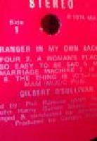 A STRANGER IN MY OWN BACK YARD