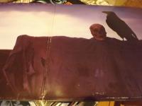 THE DEVILS CARRION 2FINA LP