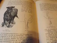 HANDBOK I JORDBRUKSEKONOMI