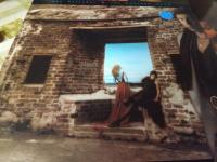 OM &Auml;NGLAR O SJAKALER