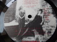 OM &Auml;NGLAR O SJAKALER