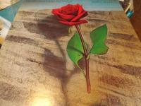 DEATH AND THE FLOWER JAPAN PRESS!