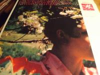 M "Promo" The Official Secrets Act Japan Press Robin Scot