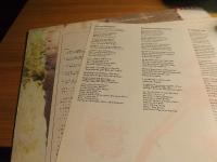 Cimarron 1981 Japan Press OBI LP d0219