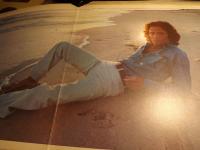 A STRANGER IN MY OWN BACK YARD