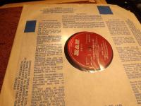 A STRANGER IN MY OWN BACK YARD