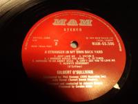 A STRANGER IN MY OWN BACK YARD