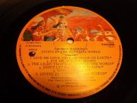 LIVING IN THE MATERIAL WORLD