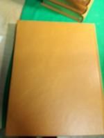 M&auml;starna : en presentation av f&ouml;rfattarna i M&auml;starbiblioteket