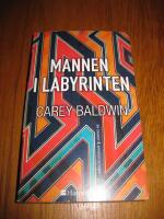 Mannen i labyrinten