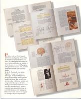 Sm&auml;rta - Inre organ -- Teori Klinik Behandling, vol. VI