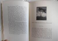 Fr&aring;n kamera till bild - fotografiska k&aring;serier i brev 