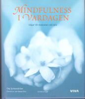 Mindfulness i vardagen : v&auml;gar till medveten n&auml;rvaro