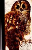 Nya f&aring;gelboken