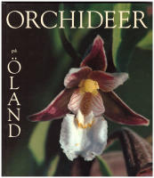 Orchideer p&aring; &Ouml;land