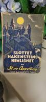Slottet Hakensteins hemlighet : &auml;ventyrsroman fr&aring;n Wien