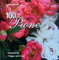 100 pioner