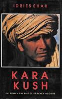 Kara Kush : [en roman om kriget v&auml;rlden gl&ouml;mde]