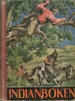 Indianboken: DEN FLYGANDE PANTERN