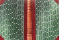 Ringaren i Notre Dame