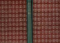 Hon dansade en sommar