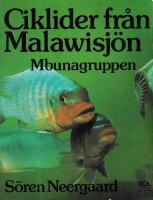 Nyasa-cichlider : Ciklider fr&aring;n Malawisj&ouml;n : Mbunagruppen