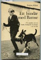 Ett hundår med Bamse