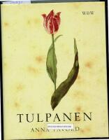 Tulpanen