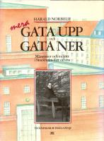 Mera gata upp och gata ner : m&auml;nniskor och milj&ouml;er i Stockholm f&ouml;rr och nu