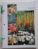 PERENNER. Lyckas Med Tr&auml;dg&aring;rden