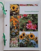 SOMMARBLOMMOR. Lyckas Med Tr&auml;dg&aring;rden