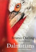 Dalmatians and other pelicans