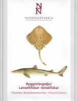Nationalnyckeln till Sveriges flora och fauna - Ryggstr&auml;ngsdjur : lansettfiskar-broskfiskar - Chordata : branchiostomatidae-chondrichthyes