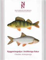 Nationalnyckeln till Sveriges flora och fauna - Ryggstr&auml;ngsdjur: Str&aring;lfeniga fiskar