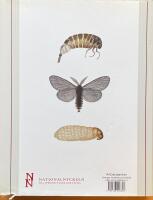 Nationalnyckeln till Sveriges flora och fauna - Fj&auml;rilar: K&auml;kmalar - s&auml;ckspinnare: Lepidoptera: Micropterigidae Psychidae