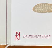 Nationalnyckeln till Sveriges flora och fauna - Fj&auml;rilar: K&auml;kmalar - s&auml;ckspinnare: Lepidoptera: Micropterigidae Psychidae