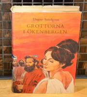 Grottorna i &ouml;kenbergen