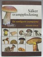 S&auml;ker svampplockning. De vanligaste svamparna