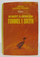 Tunnel i skyn