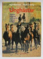 Ungh&auml;star. Uppv&auml;xt, hantering, inridning och tr&auml;ningsfysiologi
